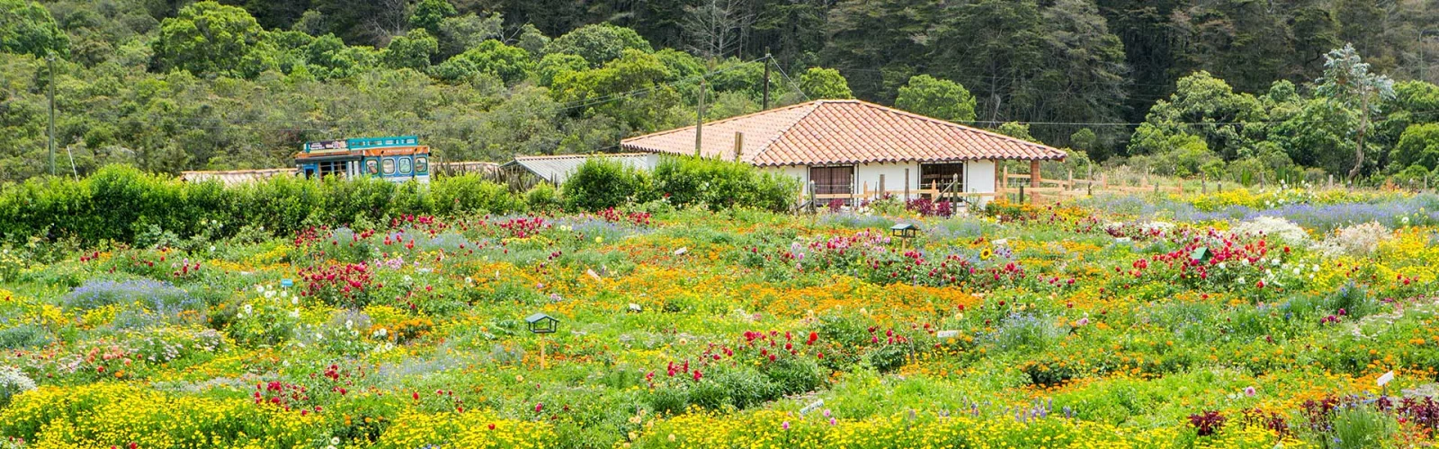 Instituciones educativas en la zona rural de Bogotá